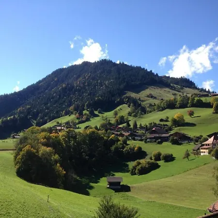 Ried By Interhome شقة Diemtigen